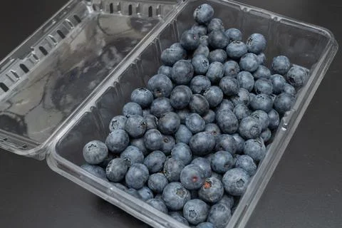 Blueberries inside an open transparent plastic container high angle view Stock Photos