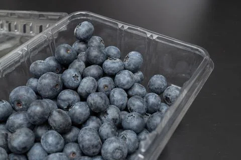 Blueberries inside an open transparent plastic container high angle view Stock Photos