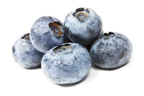 Blueberries isolated Stock Photos