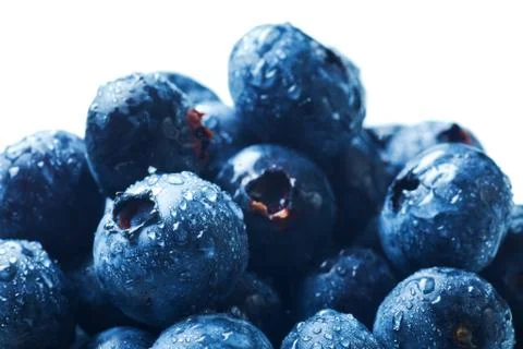 Blueberries isolated Stock Photos