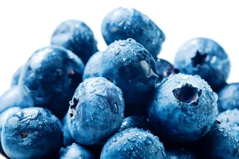 Blueberries isolated Stock Photos