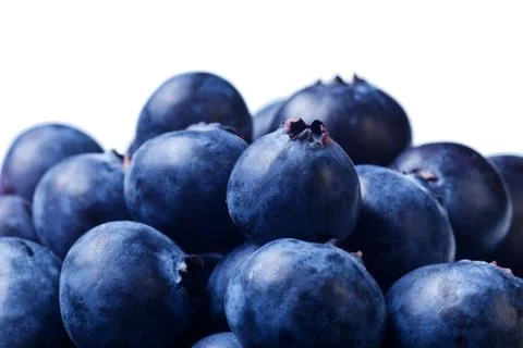 Blueberries isolated Stock Photos