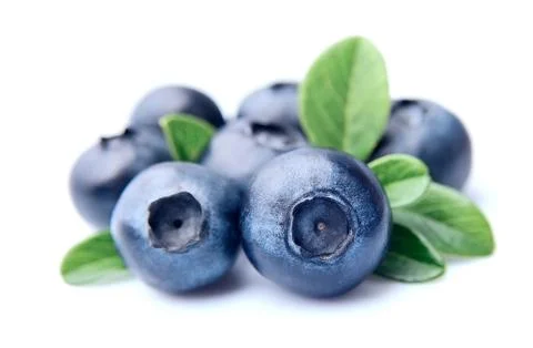 Blueberries isolated. Stock Photos