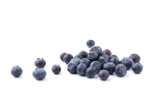 Blueberries isolated Stock Photos