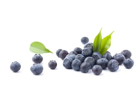Blueberries isolated Stock Photos