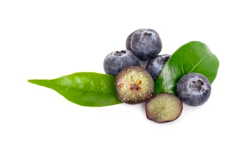 Blueberries isolated on white background Foto stock
