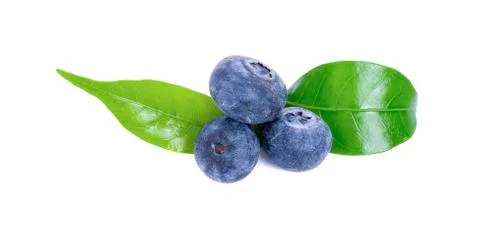 Blueberries isolated on white background Stock Photos