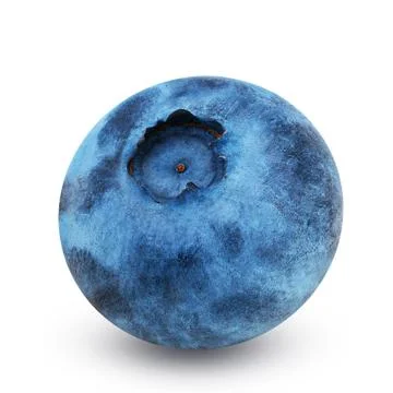 Blueberries isolated on white background Stock Photos