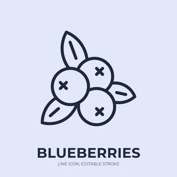 Blueberries line icon. Berry fruit linear vector illustration. Thin sign of Stock Illustration
