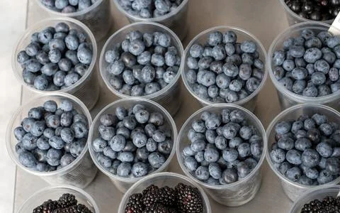 Blueberries on a market stall. Fotos de archivo