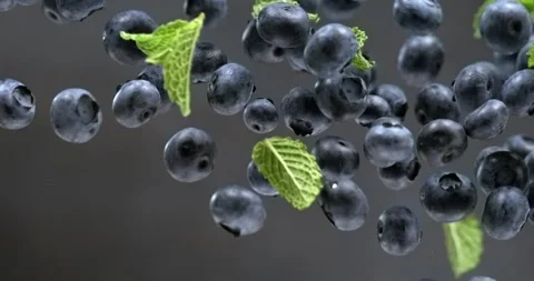 Blueberries with mint leaves falling in super slow motion on black background Stock Footage 342590614