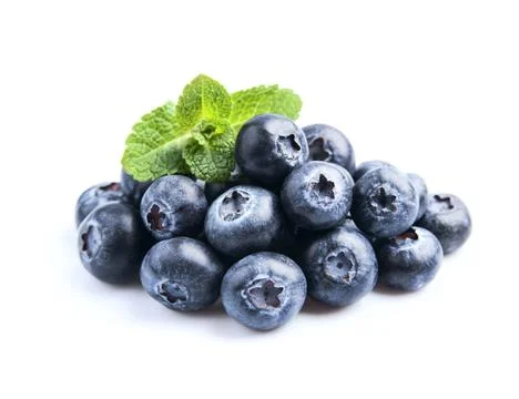 Blueberries with mint Stock Photos