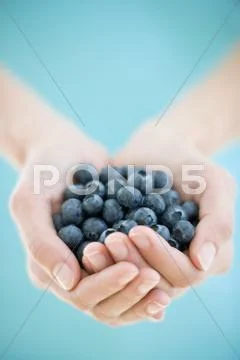 Blueberries Stock Photos
