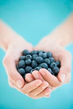 Blueberries Stock-Fotos