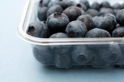 Blueberries Stock Photos