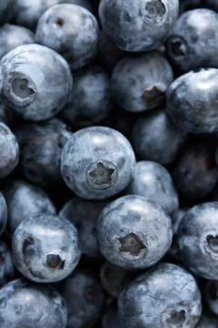 Blueberries Stock Photos
