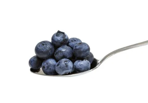 Blueberries 스톡 사진