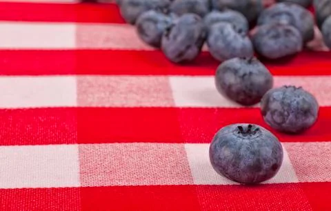 Blueberries Stock Photos