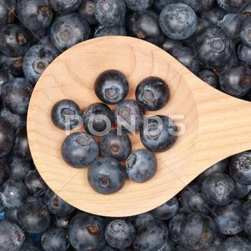 Blueberries Stock Photos