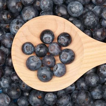 Blueberries Stock Photos