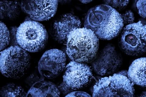 Blueberries Stock Photos