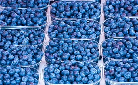 Blueberries. Stock Photos