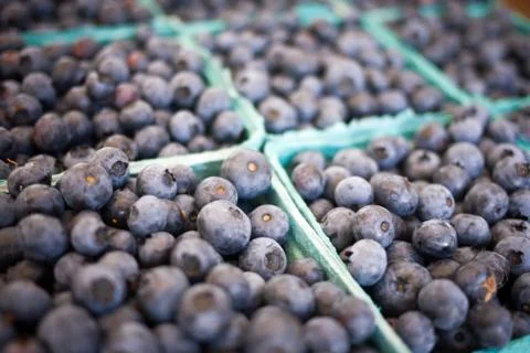 Blueberries Stock Photos