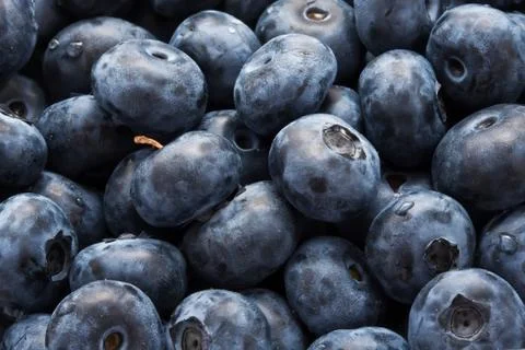 Blueberries Stock Photos