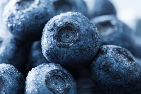 Blueberries Stock Photos