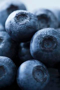 Blueberries Stock Photos