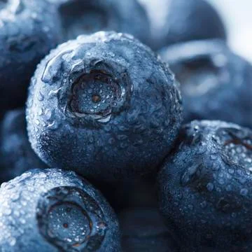 Blueberries Stock Photos