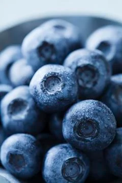 Blueberries Stock Photos