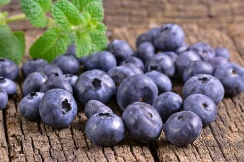 Blueberries Stock Photos
