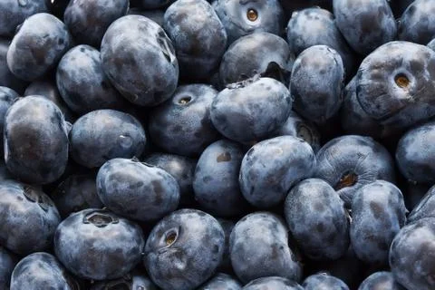 Blueberries Stock Photos