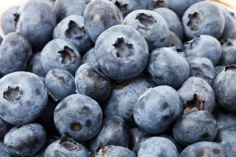 Blueberries Foto stock