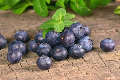 Blueberries Stock Photos