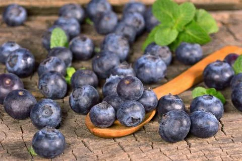 Blueberries Stock Photos