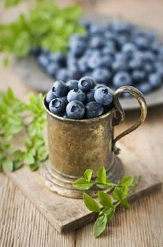 Blueberries Stock Photos