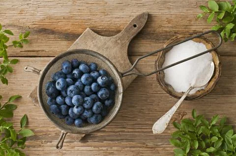 Blueberries Stock Photos