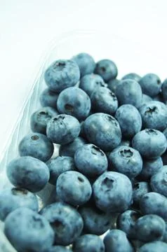 Blueberries Stock Photos