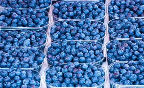 Blueberries. Stock Photos