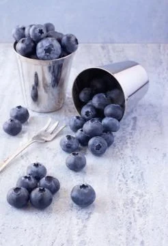 Blueberries Stock Photos