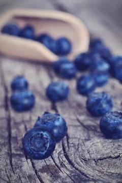 Blueberries 写真素材