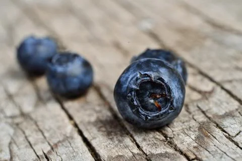 Blueberries 写真素材