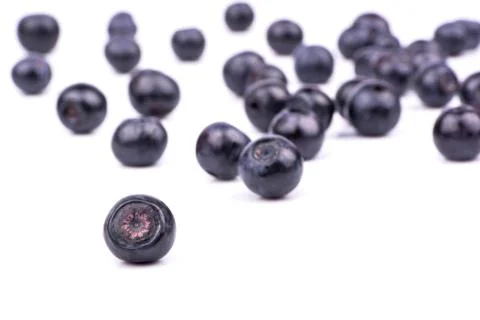 Blueberries Stock Photos