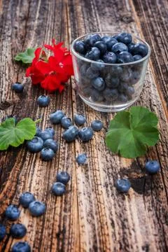 Blueberries Stock Photos