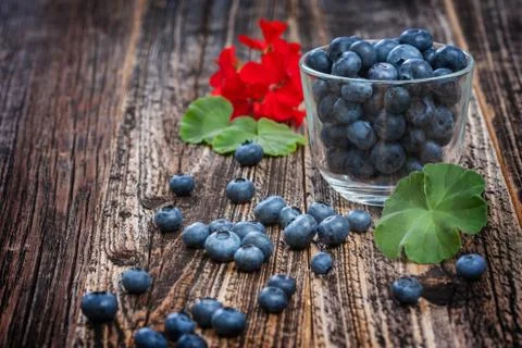 Blueberries Stock Photos