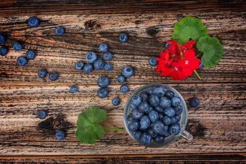 Blueberries Stock Photos