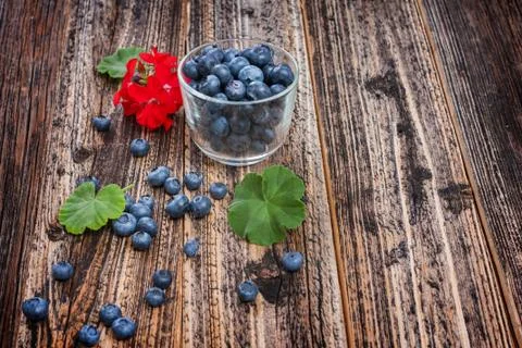 Blueberries Stock Photos
