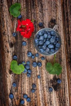 Blueberries Stock Photos